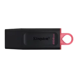 Pendrive Kingston DataTraveler Exodia 256GB USB 3.2 - DTX/256GB